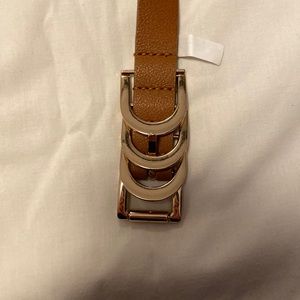 Brown and Gold Thin Belt